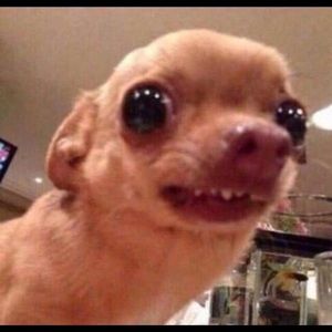 Meet your Posher, Aleah